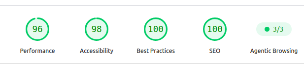 Punteggi Google PageSpeed Insights (mobile): Performance 96, Accessibilità 98, Best Practices 100, SEO 100